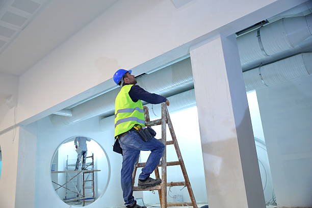 Best Real Estate Mold Inspection  in Willimantic, CT